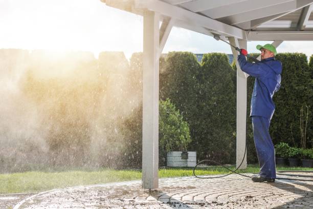 Reliable North Alamo, TX  Pressure Washing Services Solutions