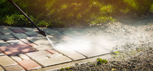 Best Solar Panel Cleaning  in North Alamo, TX