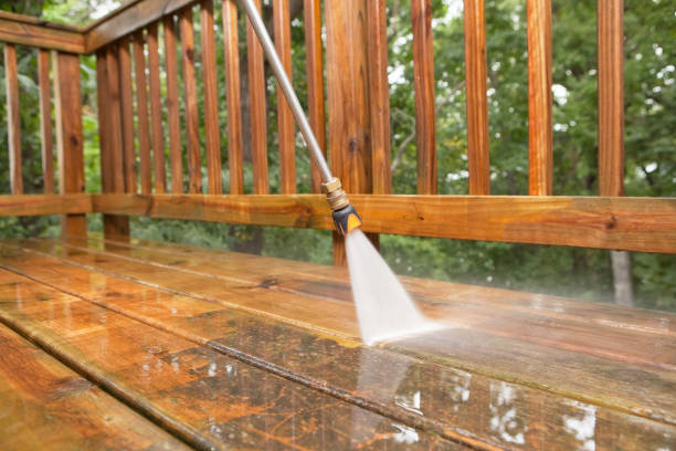 Best Dumpster Area Cleaning  in North Alamo, TX